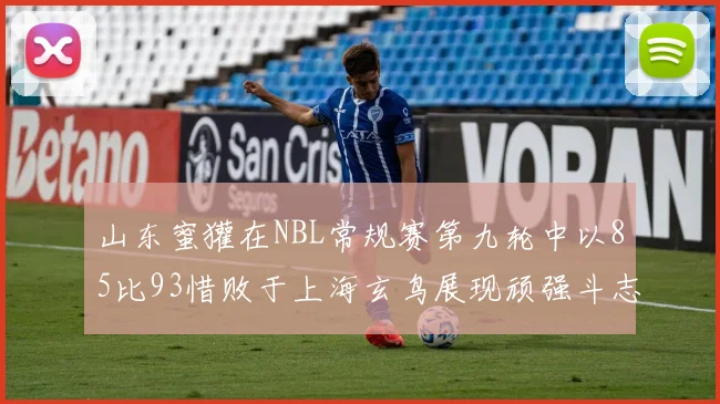 山东蜜獾在NBL常规赛第九轮中以85比93惜败于上海玄鸟展现顽强斗志