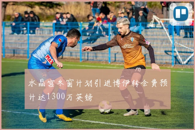 水晶宫冬窗计划引进博伊转会费预计达1300万英镑