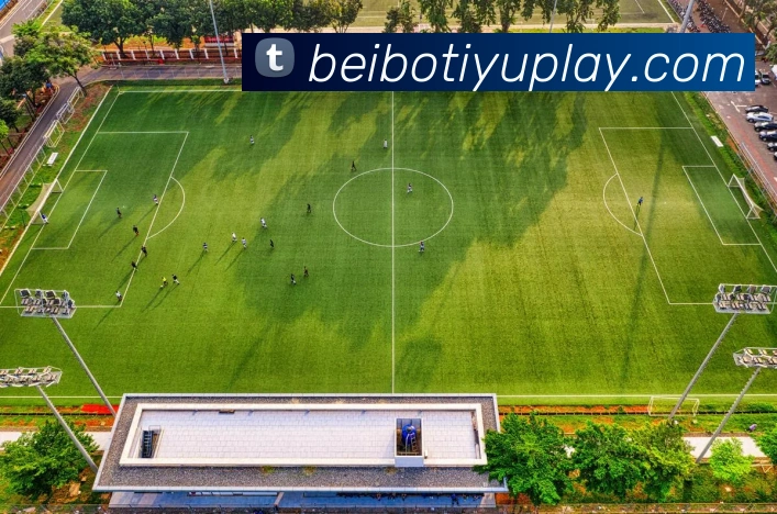 多媒体互动体验